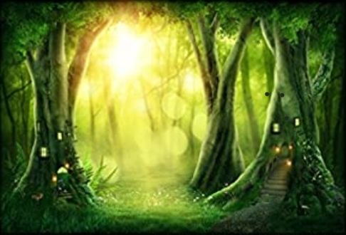 Toile de fond for�t magique 25 Sainte-Gemme-Moronval (28)