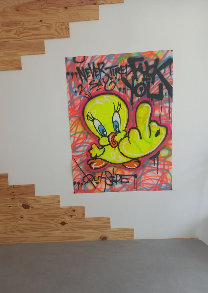 Toile outside 1099 Rouen (76)