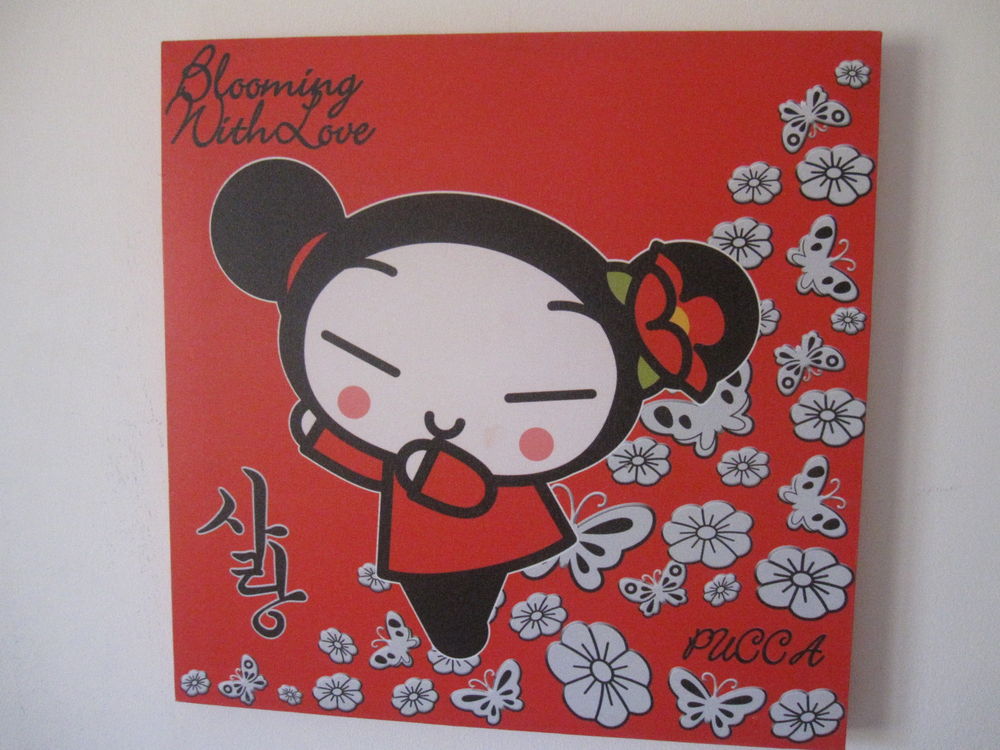 Toile pucca 40cm 4 Saint-Jean-Pla-de-Corts (66)