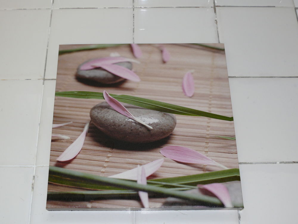 2 toiles d�cors 10 Saintes (17)