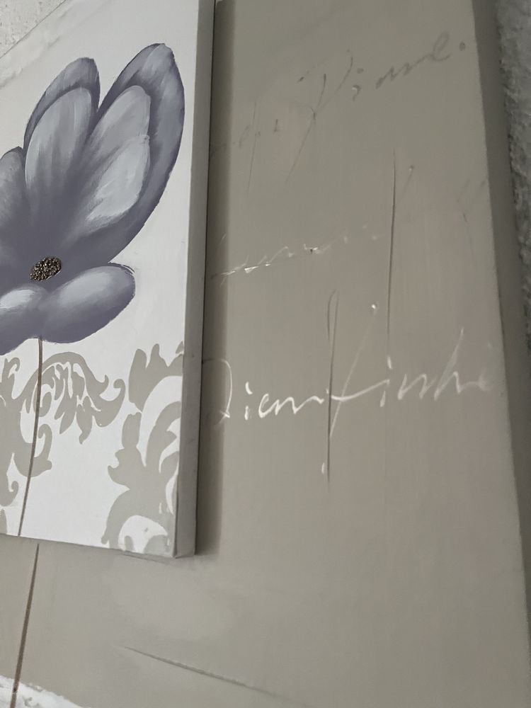 toiles peinture 10 Caussade (82)