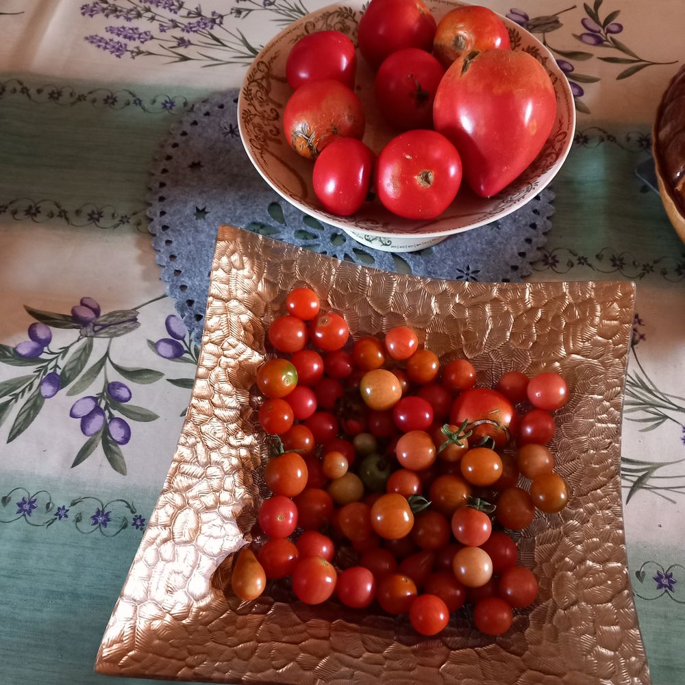 tomates non trait�es 3 La Tour-du-Crieu (09)