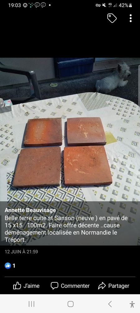 Tomettes carr�es 40 Saint-Pierre-en-Val (76)