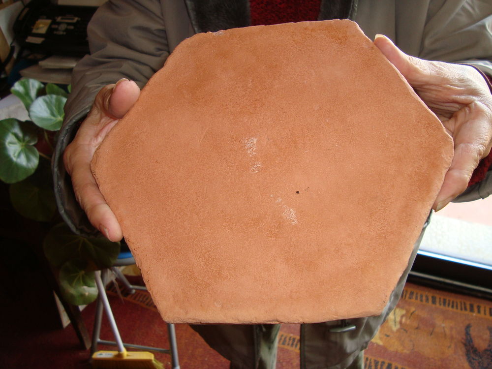 TOMMETTES PROVENCALES 200 Virey-le-Grand (71)