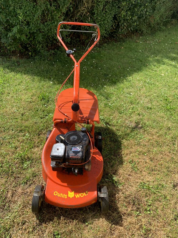 tondeuse thermique �  gazon 65 Albert (80)