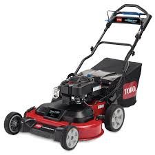 Tondeuse Thermique 500 Ferney-Voltaire (01)