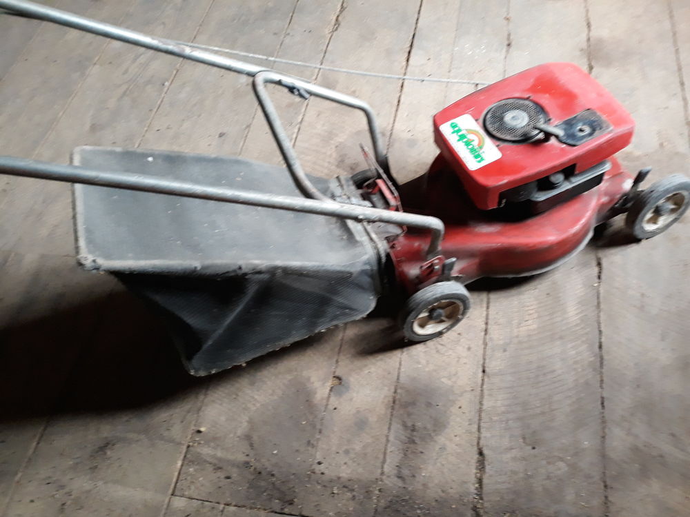 tondeuse thermique 50 Bussi�res-et-Pruns (63)