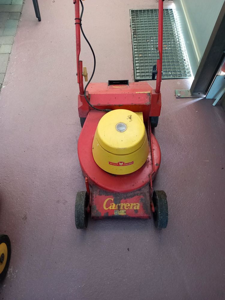 tondeuse 20 Kembs Loechle (68)