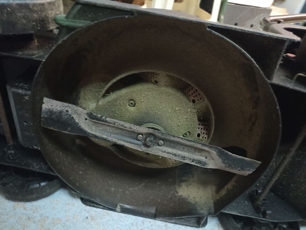 Tondeuse 
150 Gif-sur-Yvette (91)