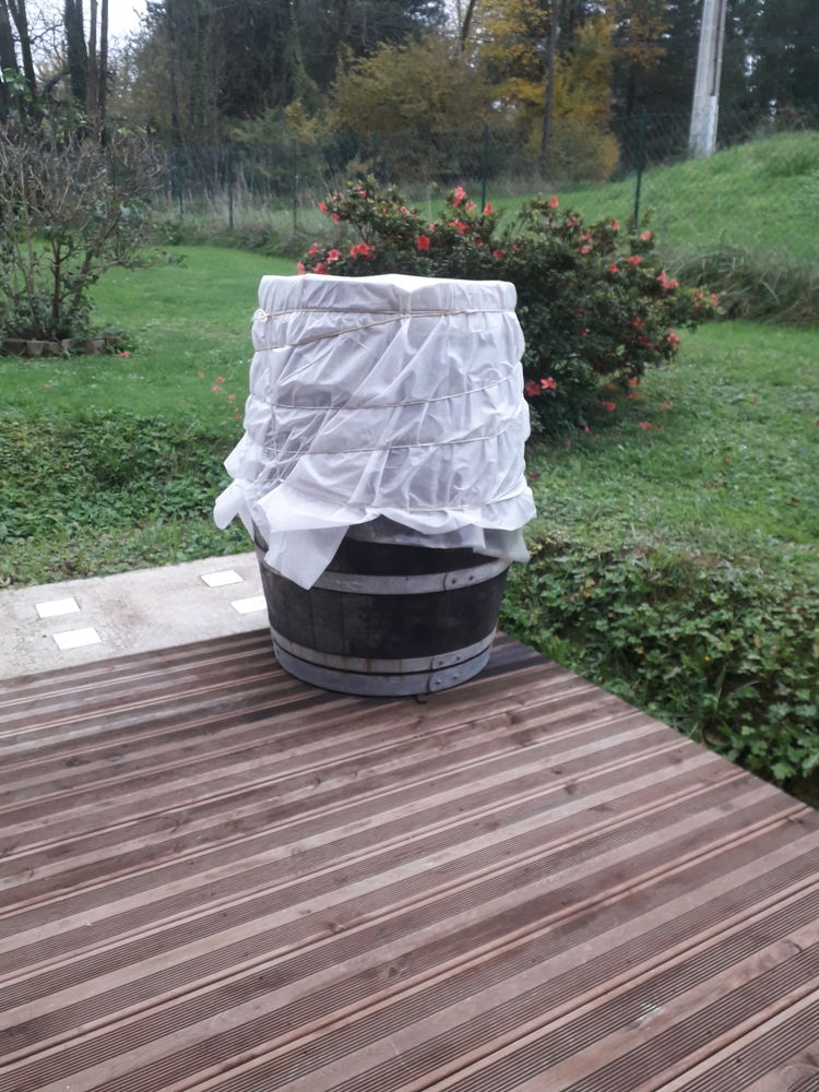 2 tonneai avins 50 Saint-Bo�s (64)