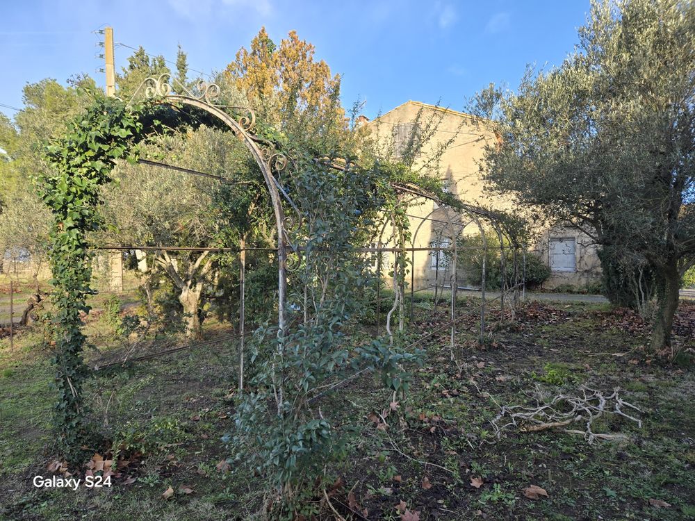 tonnelle en fer forg� 450 Escales (11)