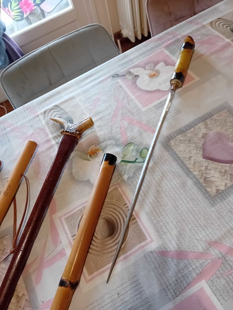 b�tons de marche 10 Montpon-M�nest�rol (24)