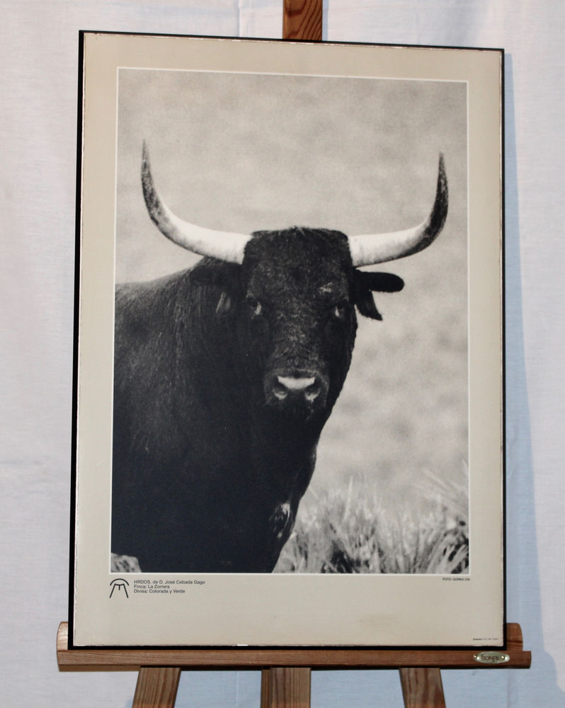  TORO  CEBADA - GAGO    30 Anglet (64)