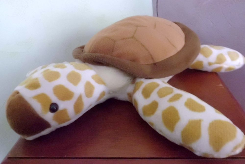 TORTUE BEIGE ET MARRON WILD REPUBLIC 16 Oignies (62)