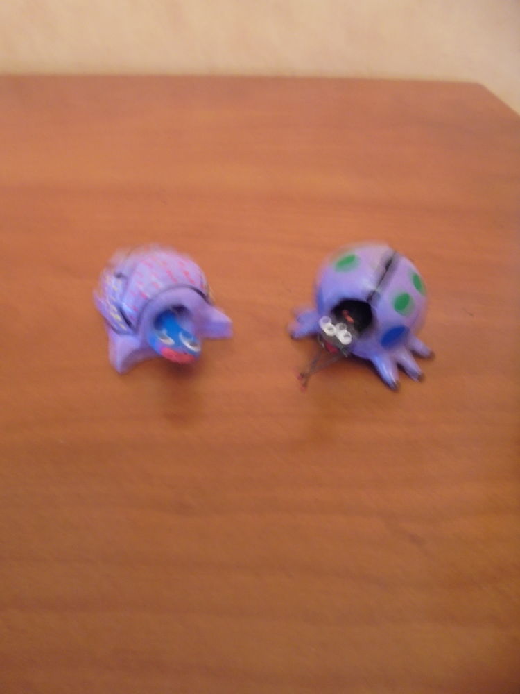 Tortue et coccinelle (28a) 3 Tours (37)