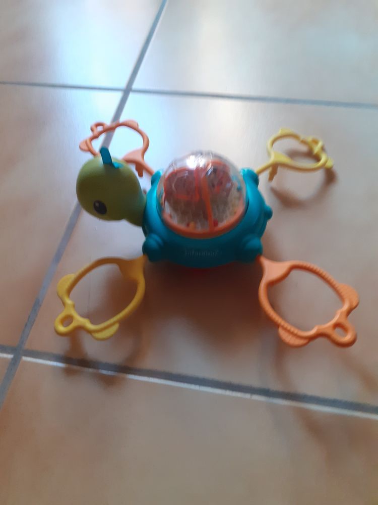 Tortue infantino 8 Grisolles (82)