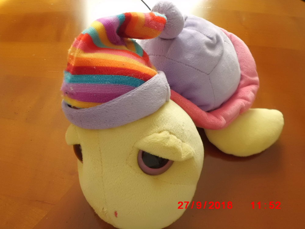 TORTUE SUNDKID 19 Oignies (62)