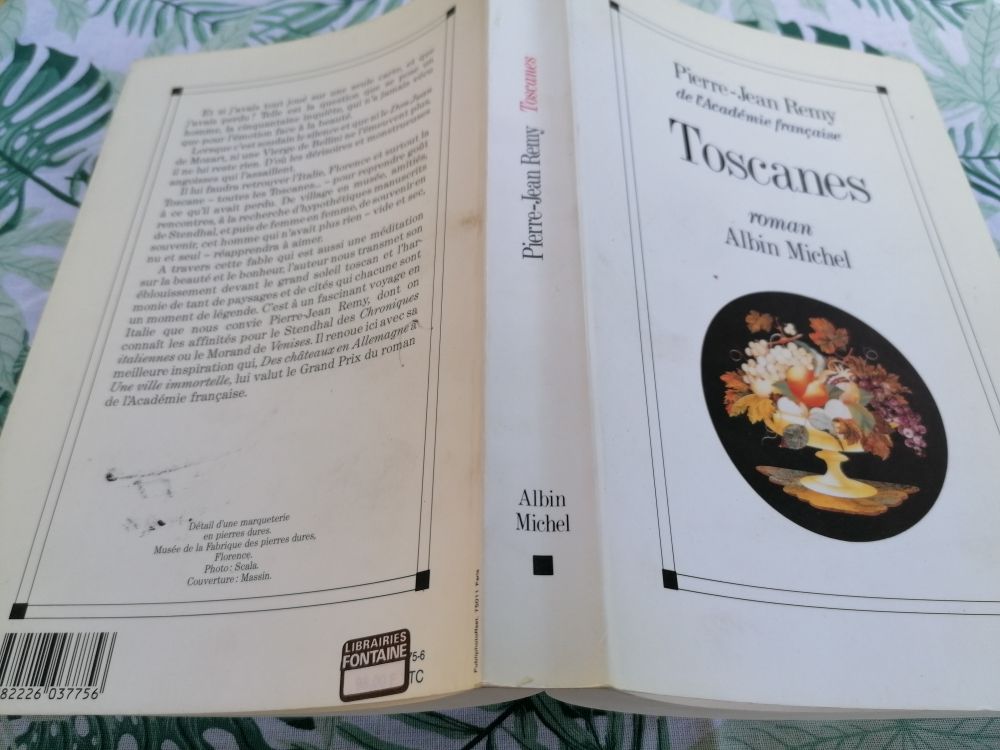 Toscane de Pierre Jean Remy 7 Lisieux (14)