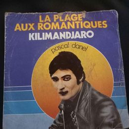 45 Tours : Pascal Danel : la plage aux romantiques 1 La Fert�-sous-Jouarre (77)