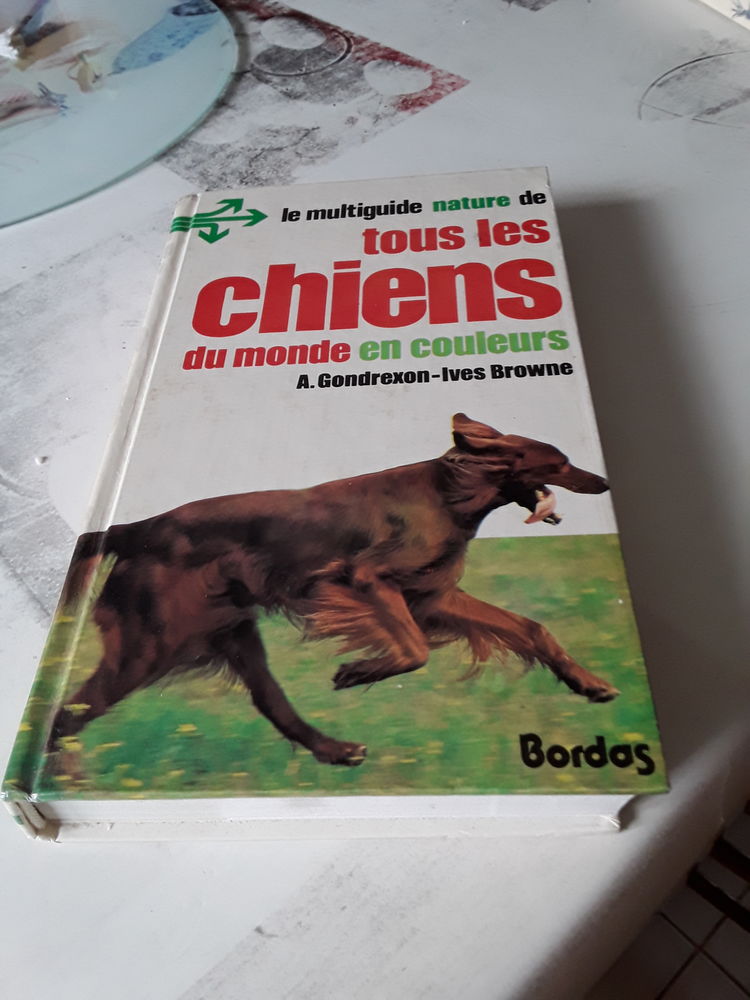 Tous les chiens du monde 8 Combs-la-Ville (77)