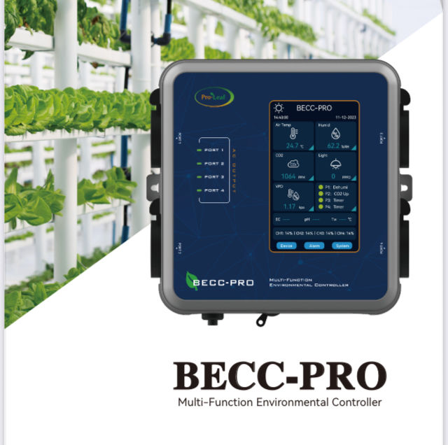 Tout pour la culture int�rieur pour les bonnes tomates toute 1 Sailly-sur-la-Lys (62)