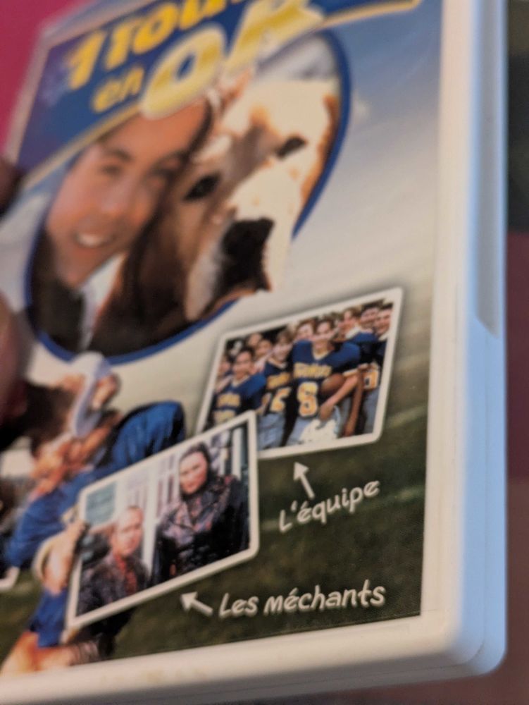 dvd un toutou en or 1 Grigny (69)