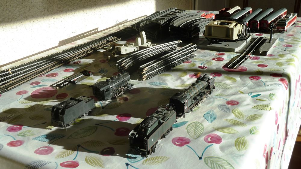 train �lectrique 0 Milhaud (30)