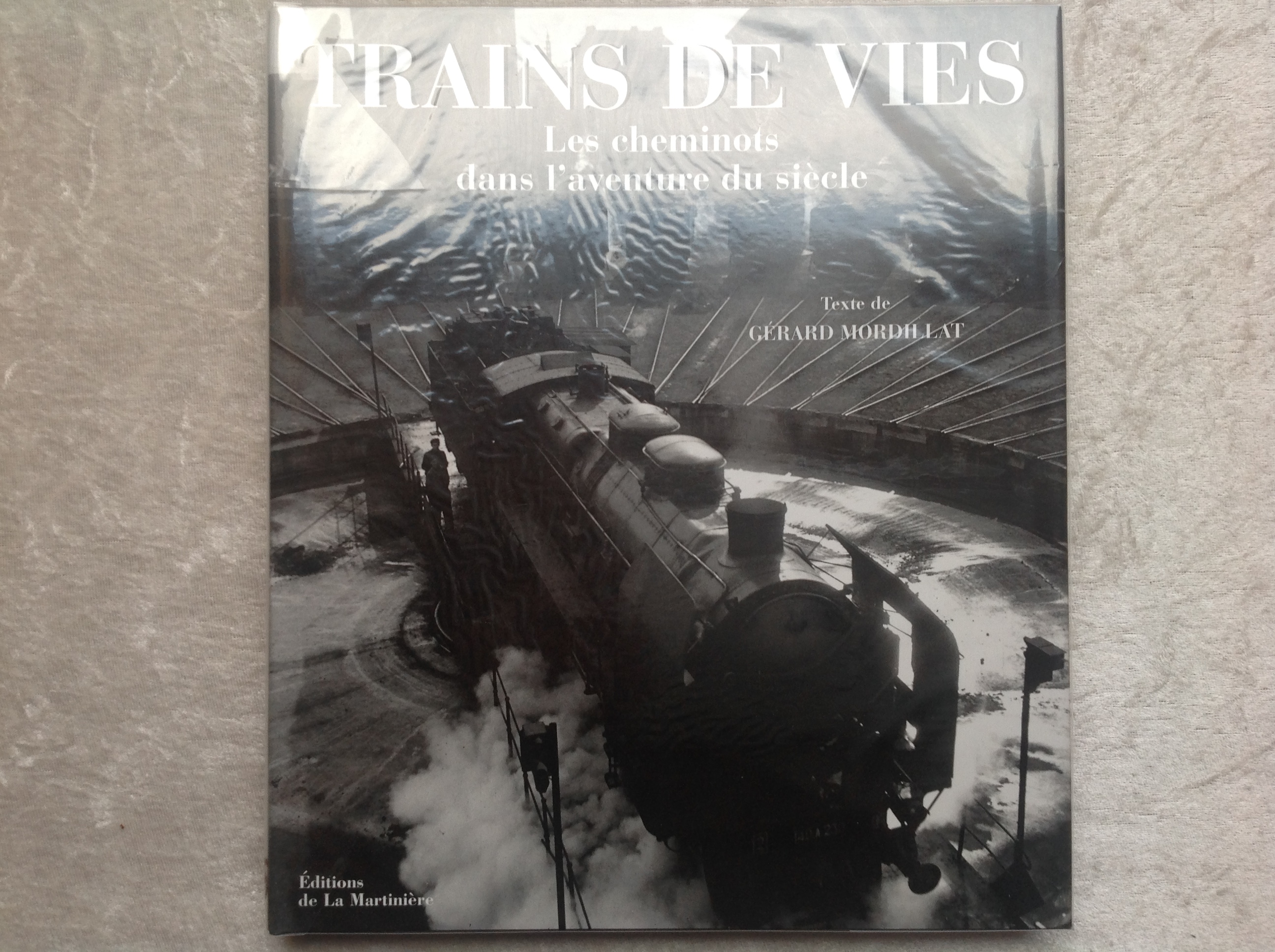 TRAINS DE VIES PAR GERARD MORDILLAT Envoi Possible 18 Tr�gunc (29)