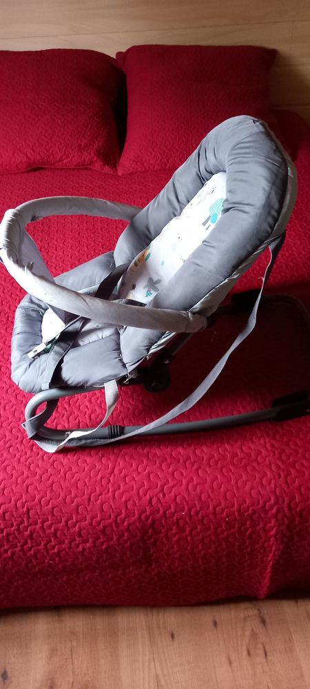 Transat b�b�
15 Les Ponts-de-C� (49)