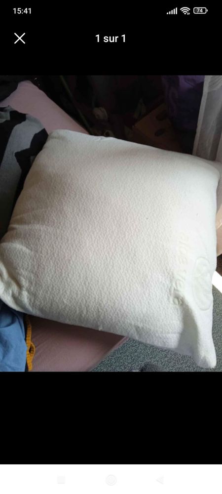 Transat et cousin 25 Schiltigheim (67)