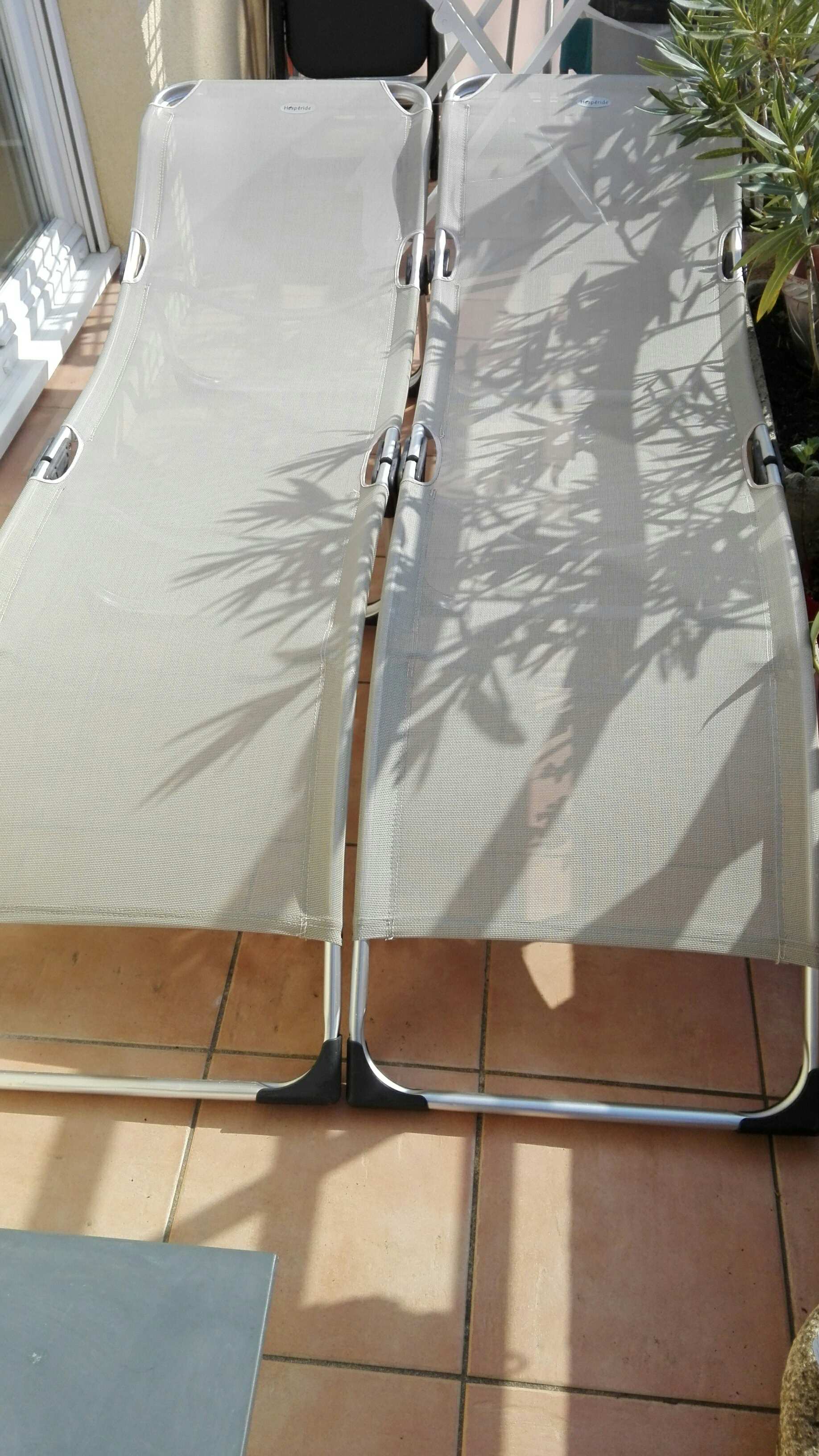 transats 100 Boulouris (83)