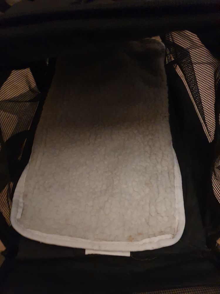 Sac transport chat bonne �tat 15 Neuill�-Pont-Pierre (37)