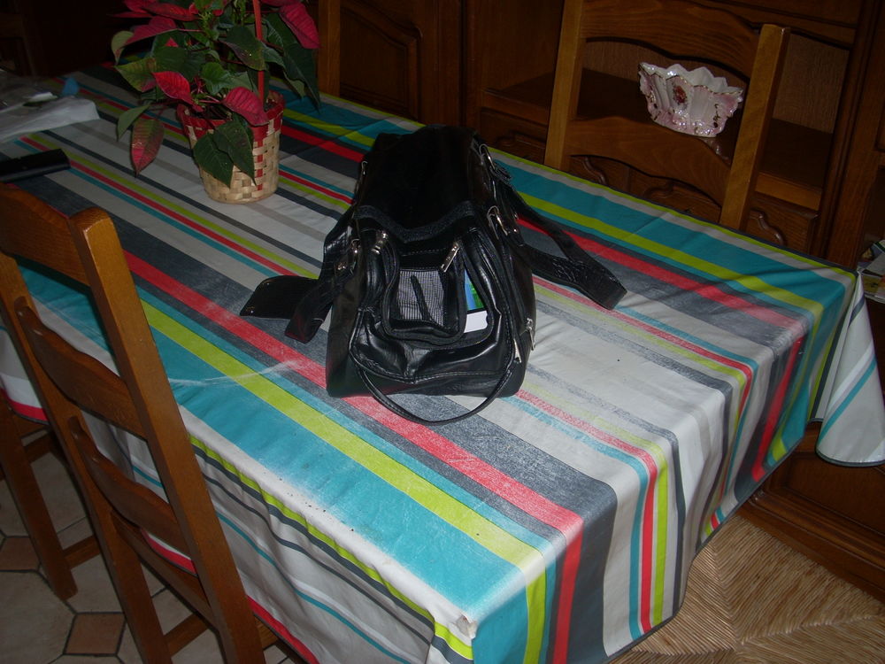 sac de transport chien et chat Doogy 40 Herblay (95)