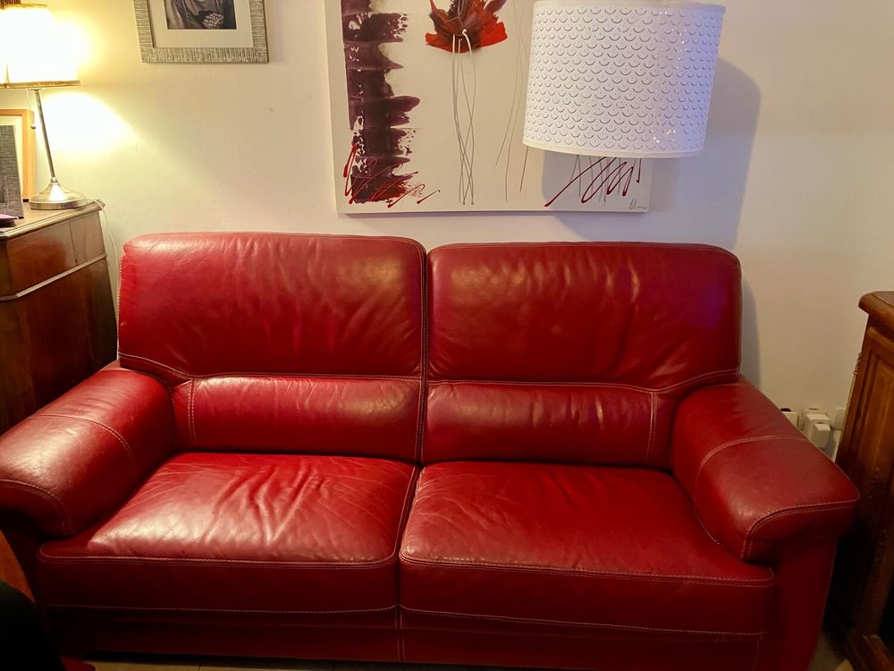 Tr�s beau canap� cuir rouge
Excellent �tat
Longueur 192 cm
249 G�menos (13)