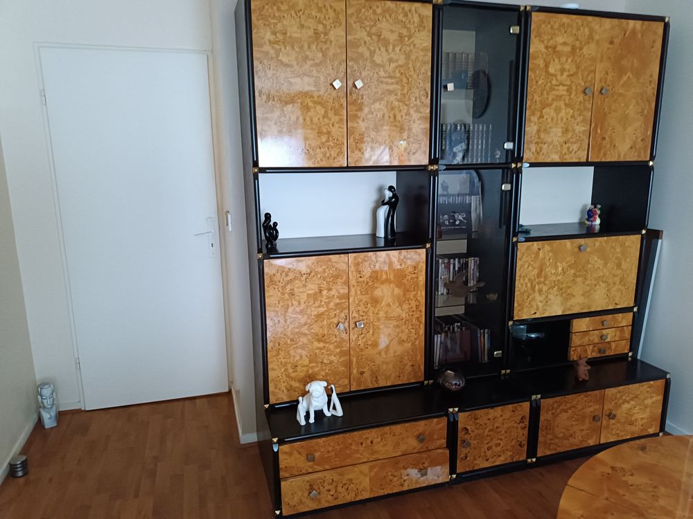 Tr�s beau living 990 Toulouse (31)