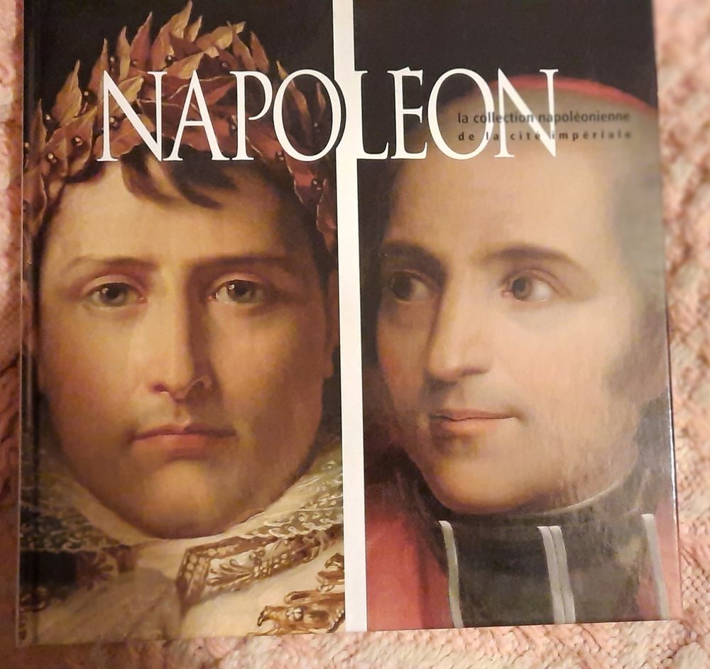 Très beau ouvrage sur Napoléon  30 Ajaccio (20)