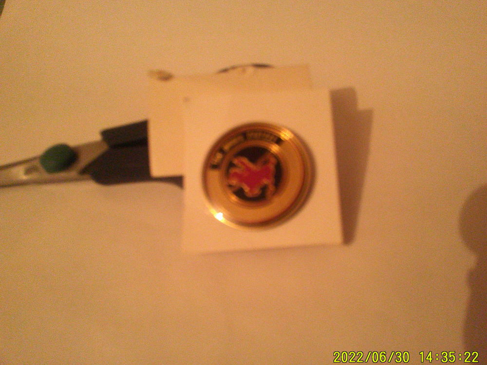 TRES   BEAU  PIN'S  .   THE  PONEY  EXPRESSE    10 Nontron (24)