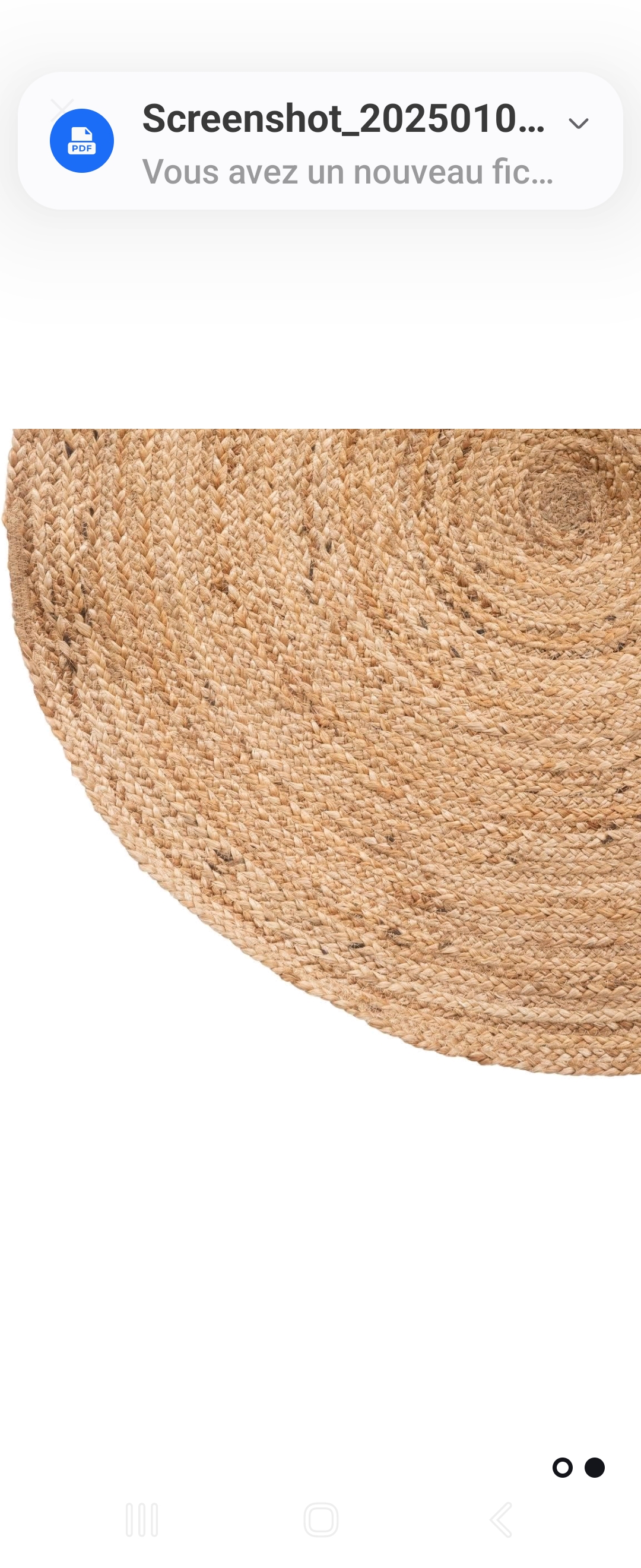 Tr�s beau tapis propre 50 Paris 12 (75)