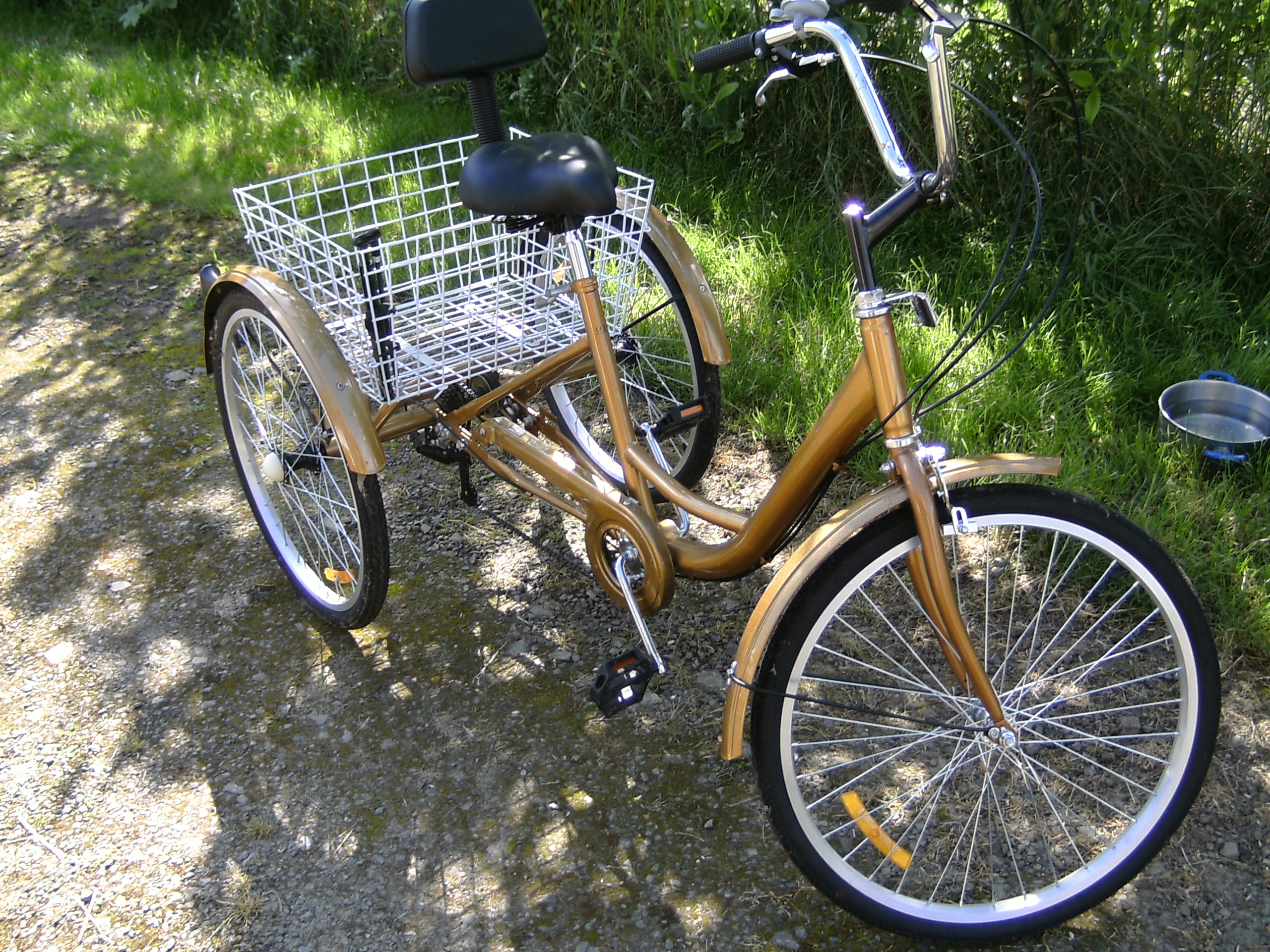 Tres beau velo tricycle de femme , quasi neuf 200 Montsecret (61)