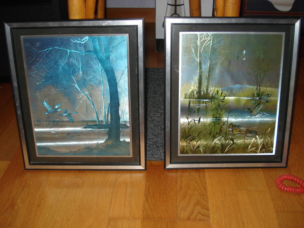 2 tr�s beaux cadres tour argent� paysage avec canards 0 M�rignies (59)