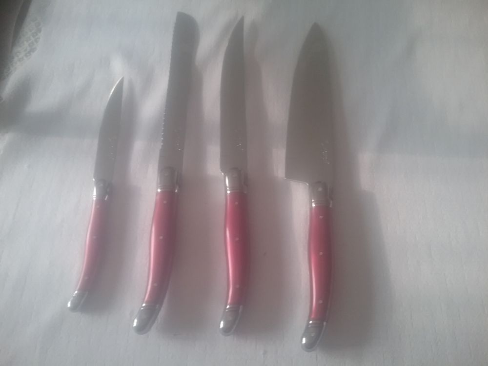 tr�s beaux couteaux laguiole neufs en inox 15 Gravelines (59)