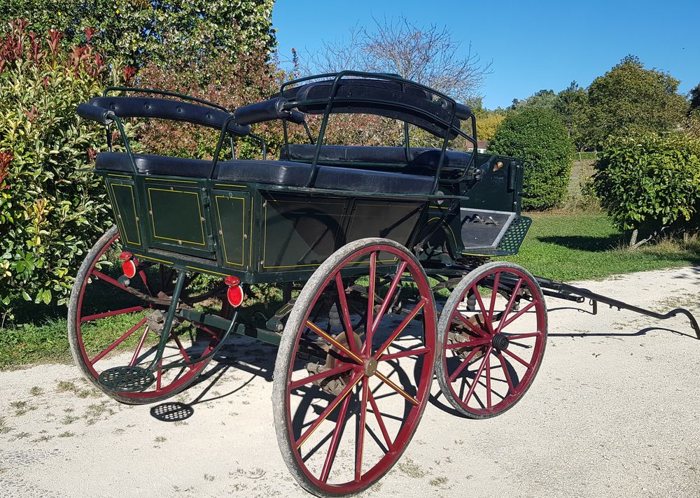 Tr�s belle cal�che/wagonnette 8 places 3500 Dirac (16)