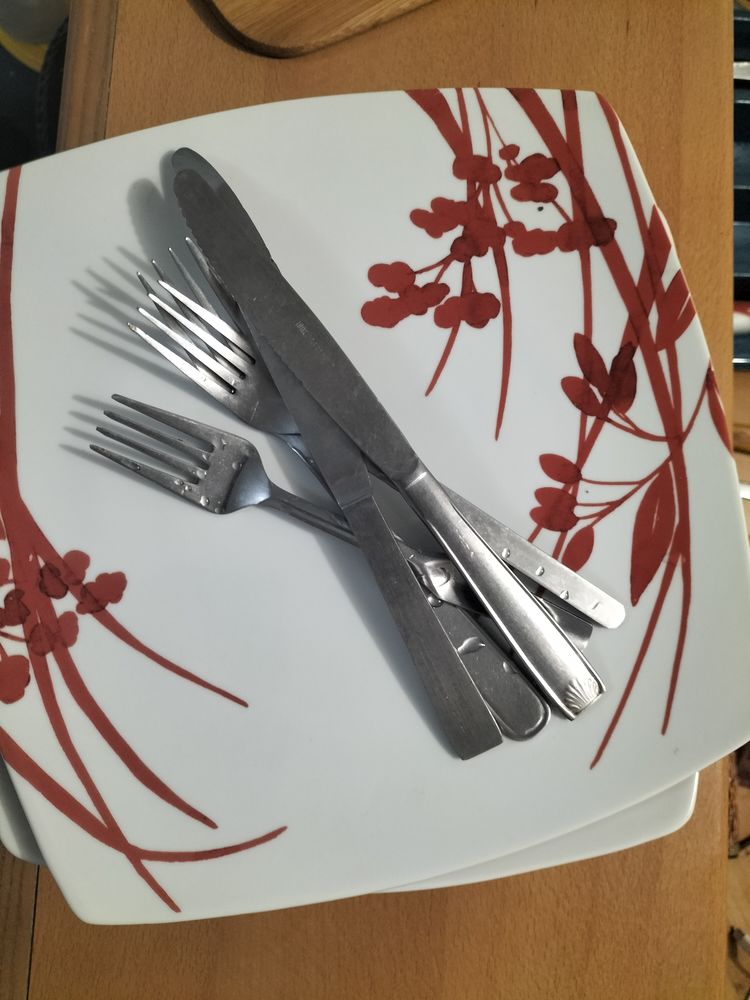 Tr�s bonne affaire - beaucoup d'assiettes et de couverts 20� 20 Melun (77)