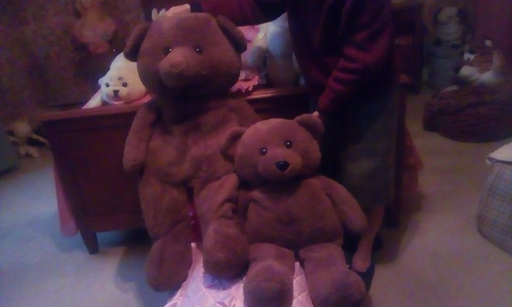 tr�s grosses peluches, grands nounours d'1m et autr 3 Saint-Bonnet-sur-Gironde (17)