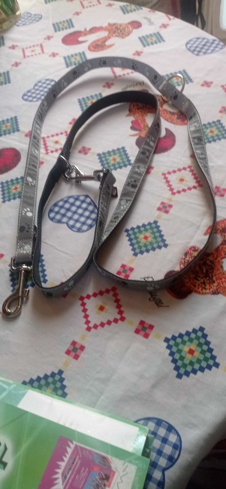 tr�s jolie laisse pour chien 5 Pantin (93)