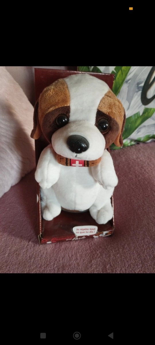 tr�s tr�s chien qui r�p�te tout 12 Charleville-M�zi�res (08)