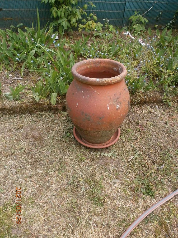 TRES VIEUX POT  EN TERRE CUITE 30 Vannes (56)