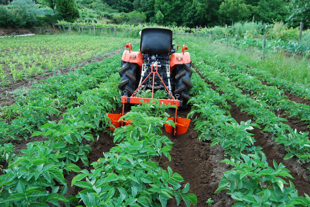 Triangle multifonction micro tracteur 330 Espagne (92)