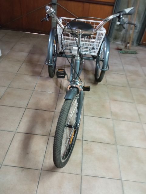 tricycle adulte 350 Bauvin (59)