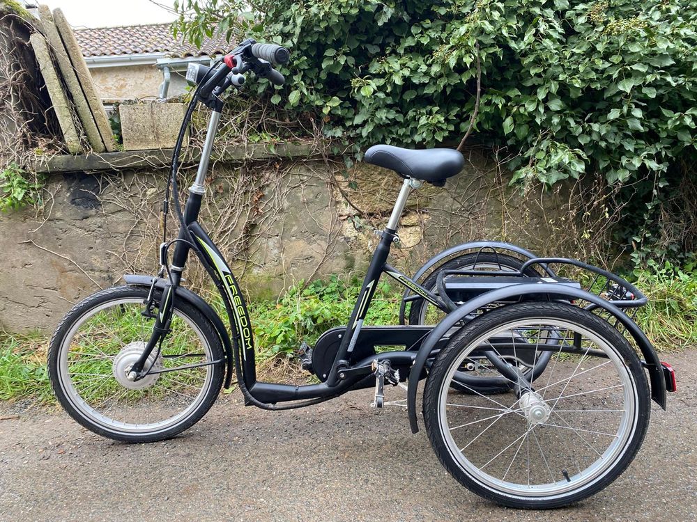 TRICYCLE A ASSISTANCE ELECTRIQUE 1700 Saint-Pey-de-Castets (33)